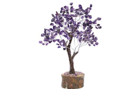 Bonsai Amatista