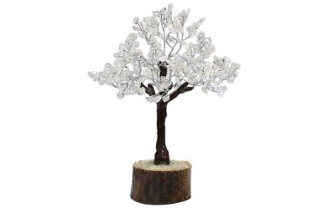 Bonsai Cuarzo transparente