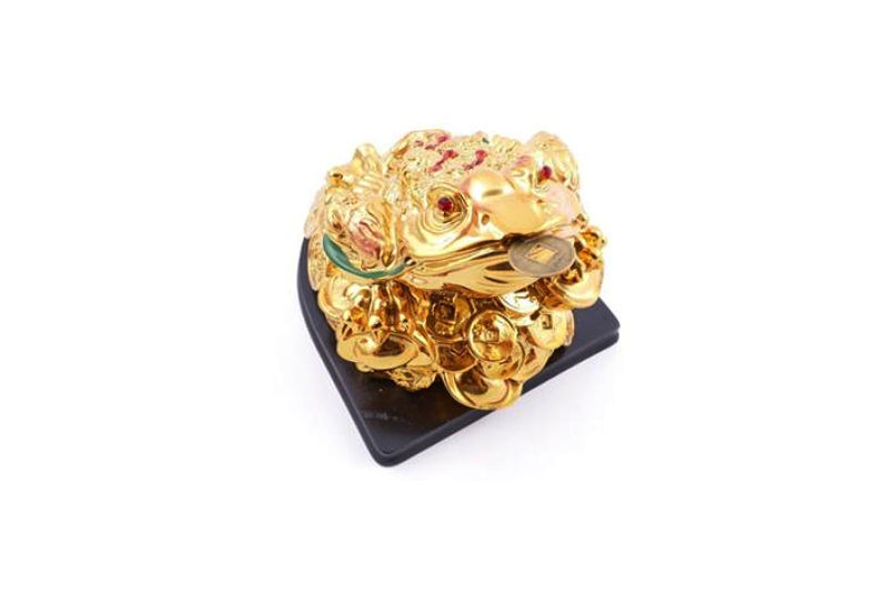 Rana Feng Shui de Resina con Peana de Madera