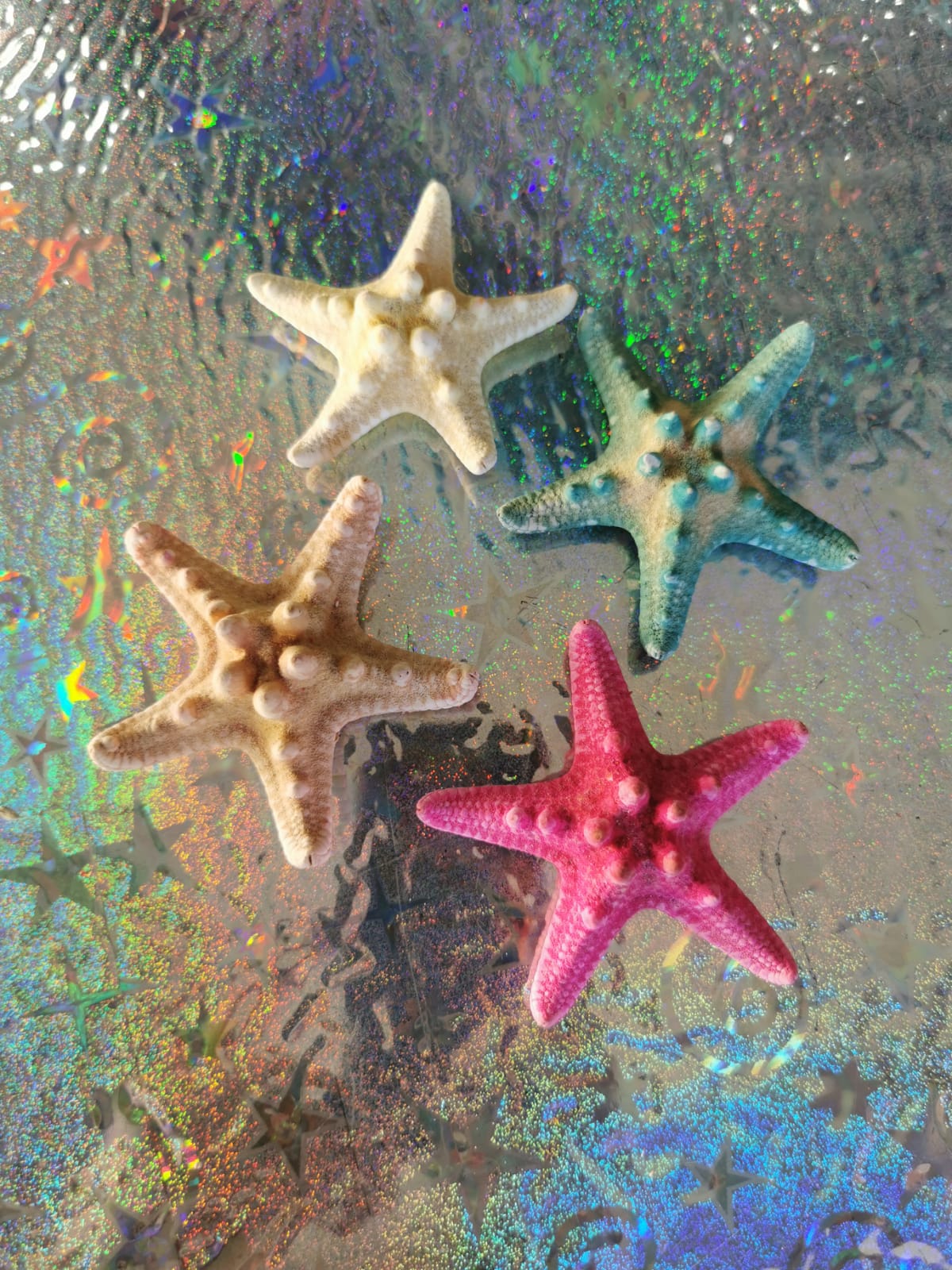 Estrella de mar distintos colores